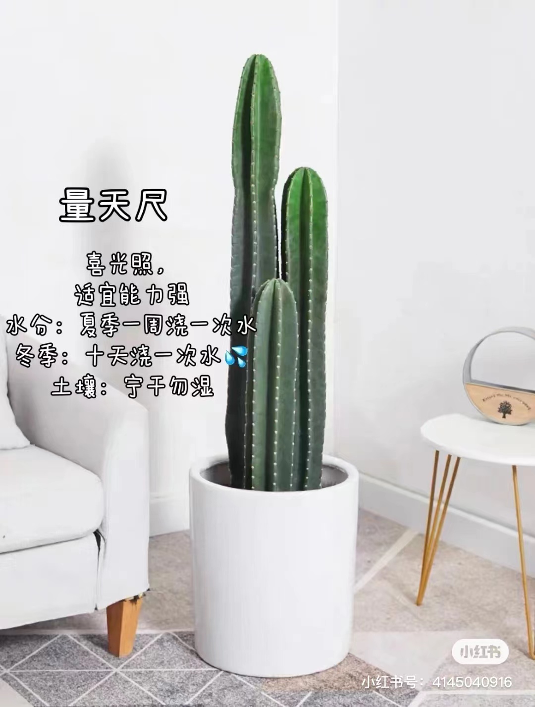量天尺